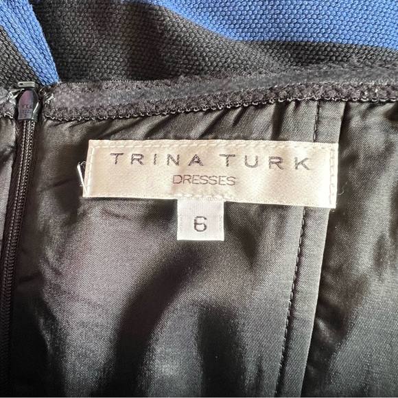 TRINA TURK Strapless Formal Striped Pleated Cissily Dress—SZ. 6 - Picture 15 of 17